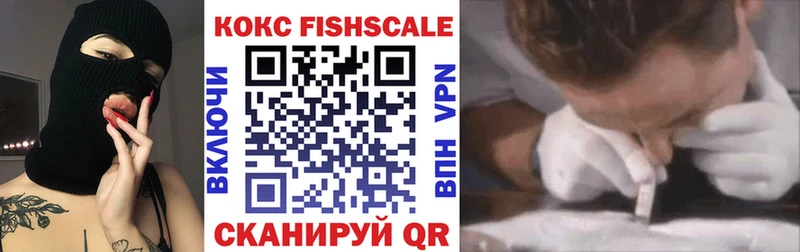 Cocaine Fish Scale  где можно купить наркотик  Новоульяновск 
