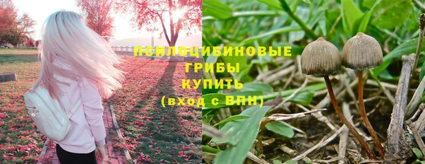 винт Абдулино