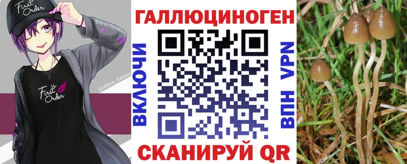 Галлюциногенные грибы MAGIC MUSHROOMS цена наркотик Новоульяновск