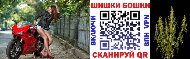 Бошки Шишки планчик  продажа наркотиков  Новоульяновск 